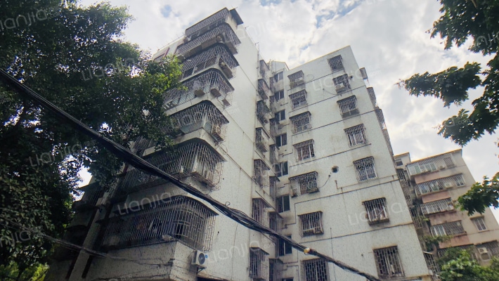 后龙西街外景图