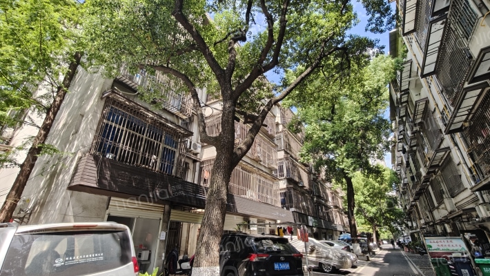 五一东村外景图