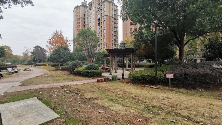 新南湖绿苑外景图