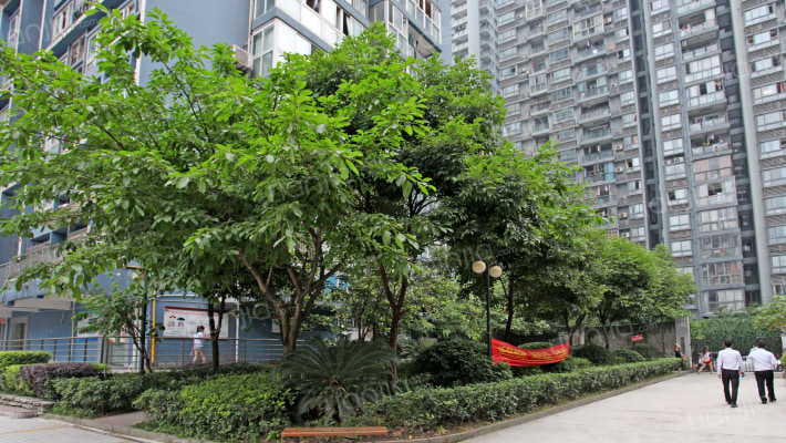 锦宏嘉园外景图