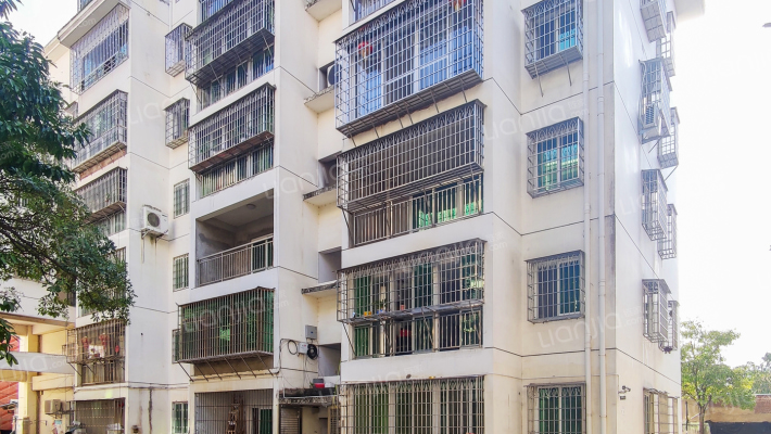 我爱莲花外景图