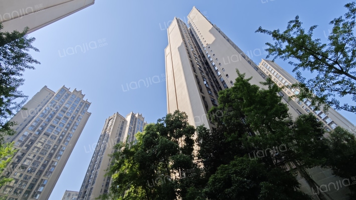 南湖世纪外景图