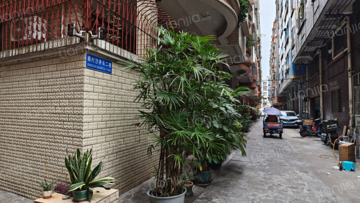 樟村沙井头二巷外景图