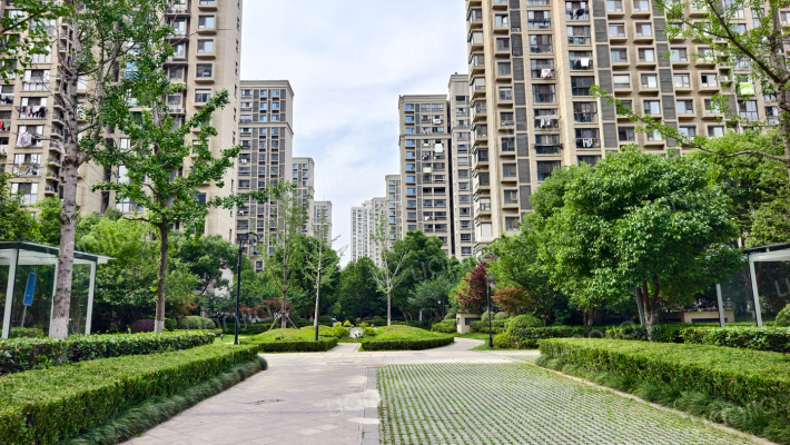 中南锦城外景图