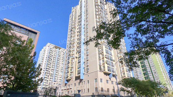 青春无限外景图