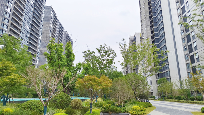 仁恒滨湖湾外景图