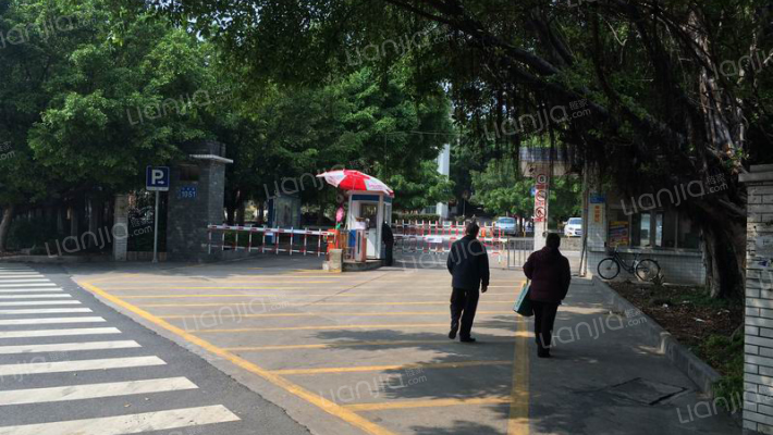 白云山制药厂后山宿舍外景图