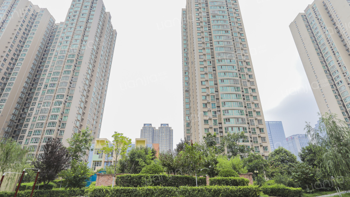 旭景兴园外景图