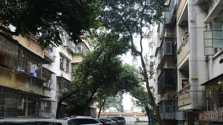 文锦渡海关二院外景图