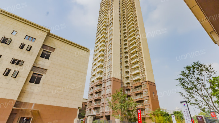 光明国际外景图