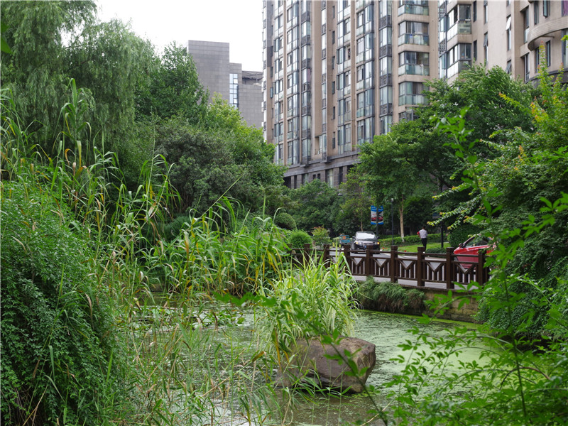 耀江文鼎苑 小区实景 38