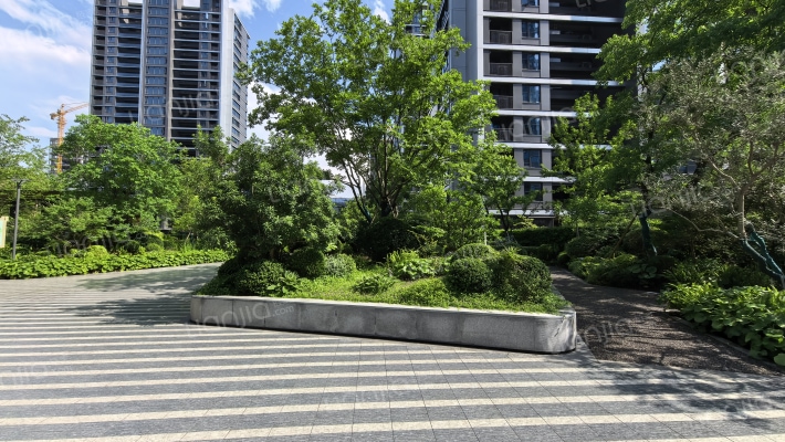 星遇光年府外景图