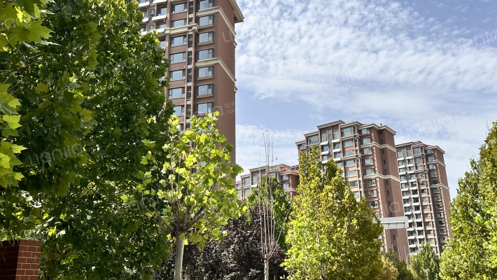 黄金山水郡一区外景图