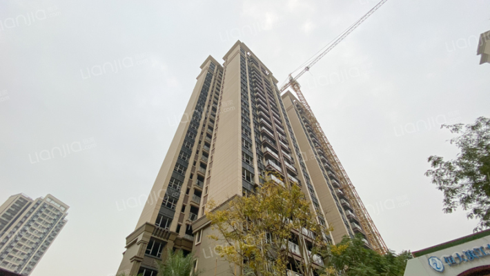 恒大滨江左岸外景图