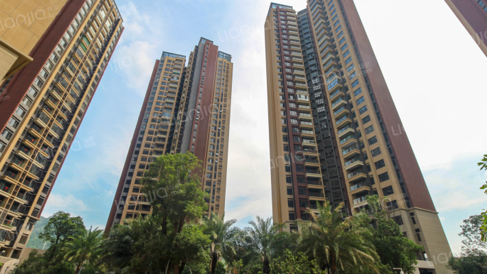 星河荣域外景图