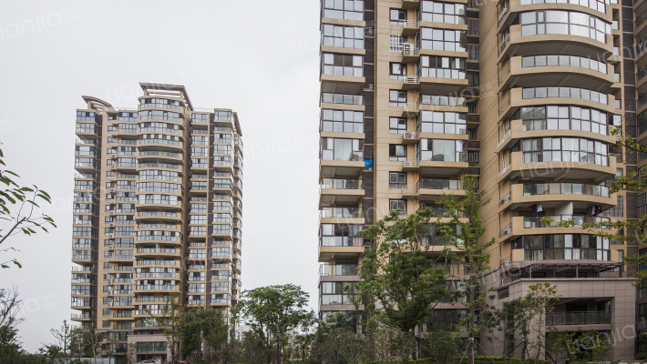 武夷绿洲揽胜阁外景图