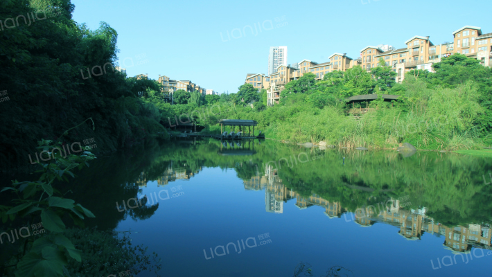 同天绿岸外景图