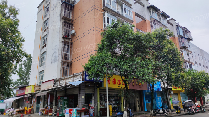 书香雅筑外景图