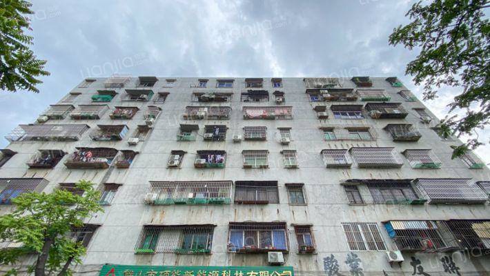 玫瑰路16号外景图