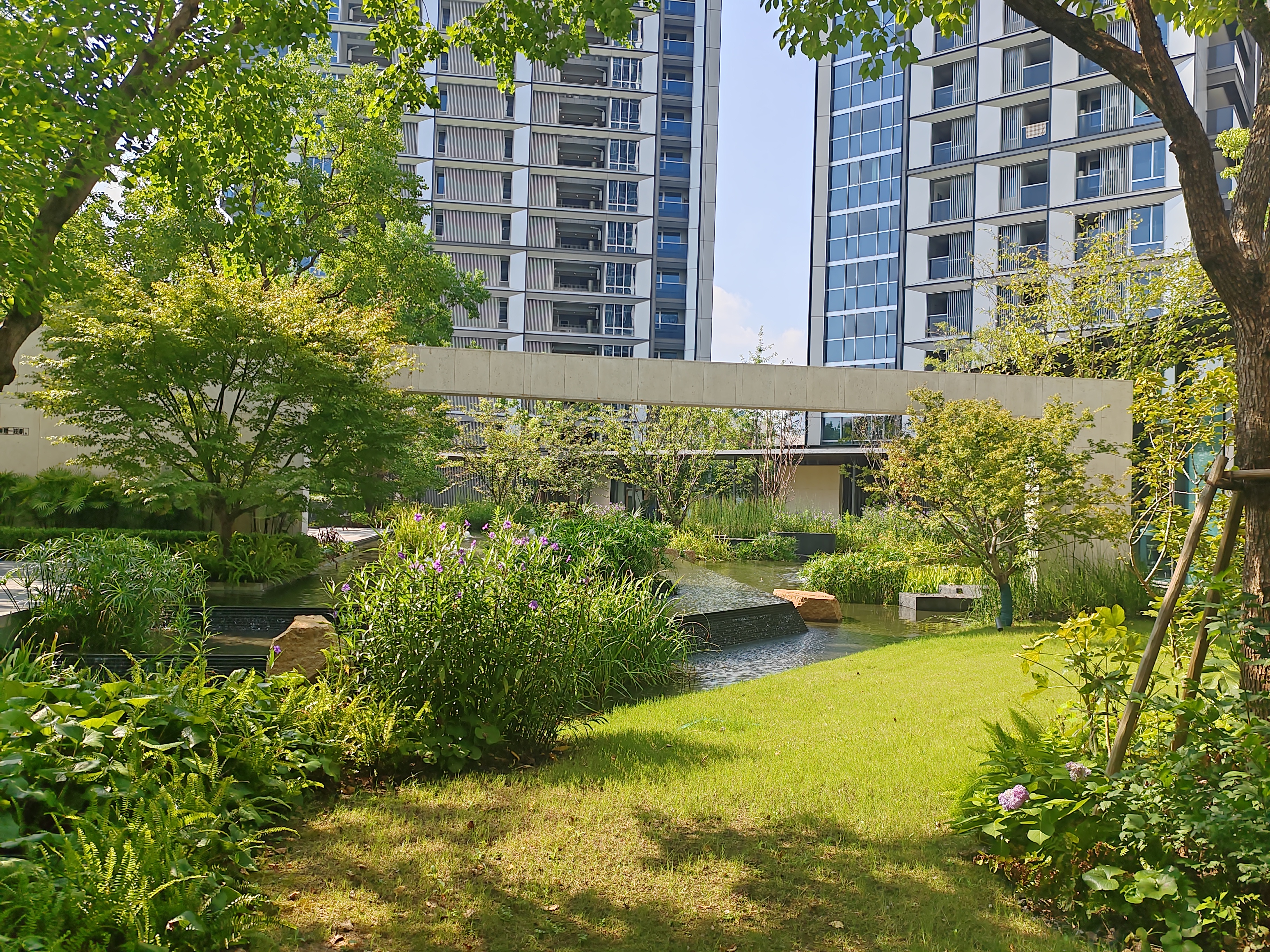 The Sunrise City compound photo 4