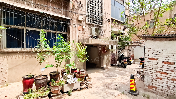 城东路167号外景图