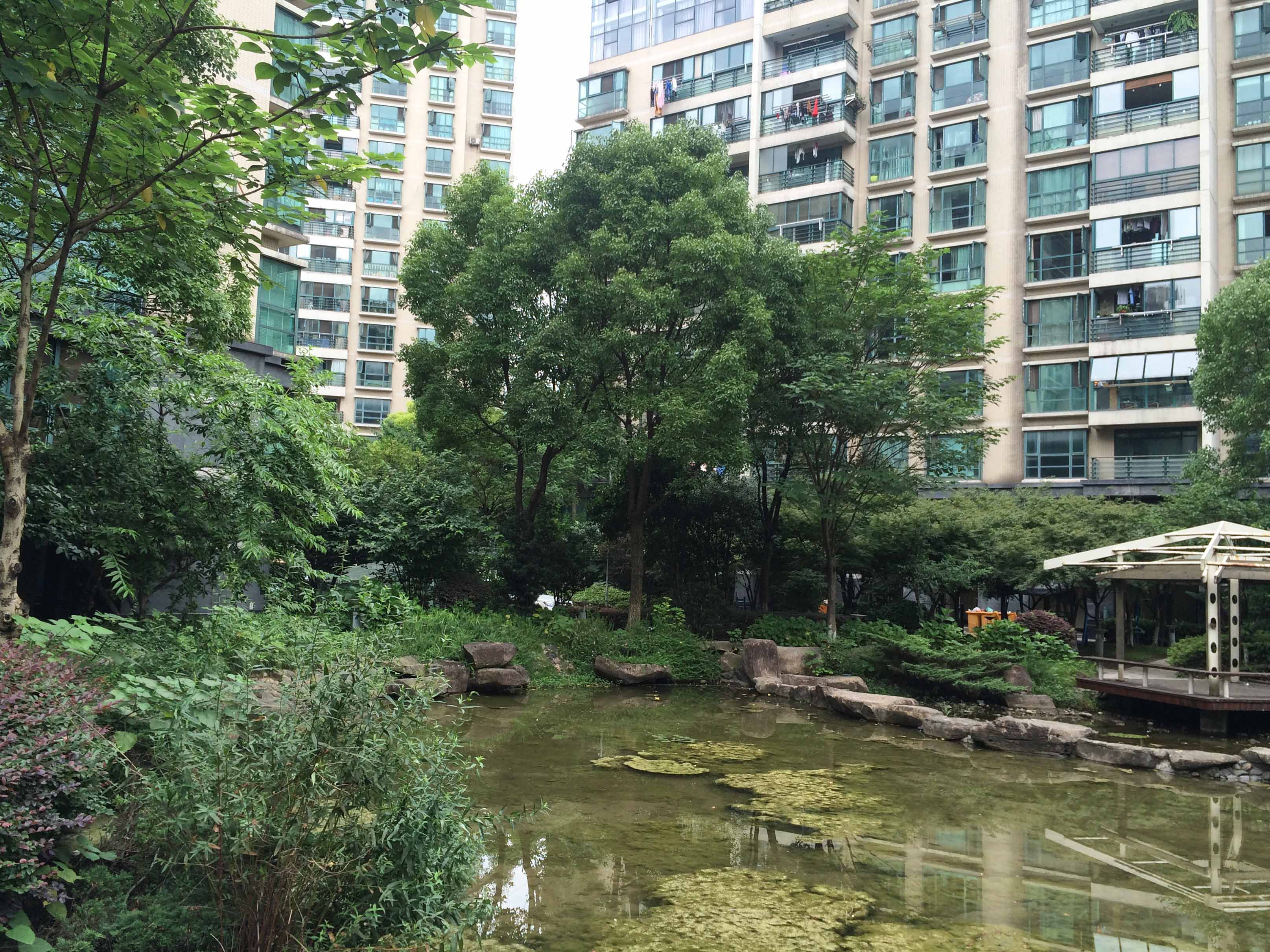 钱塘春晓小区实景 7