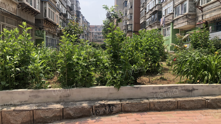 和顺街小区外景图