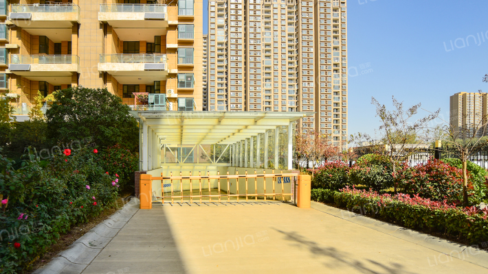 天河华侨龙城银杏苑外景图