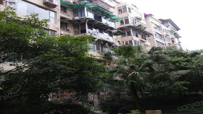 紫藤花园外景图