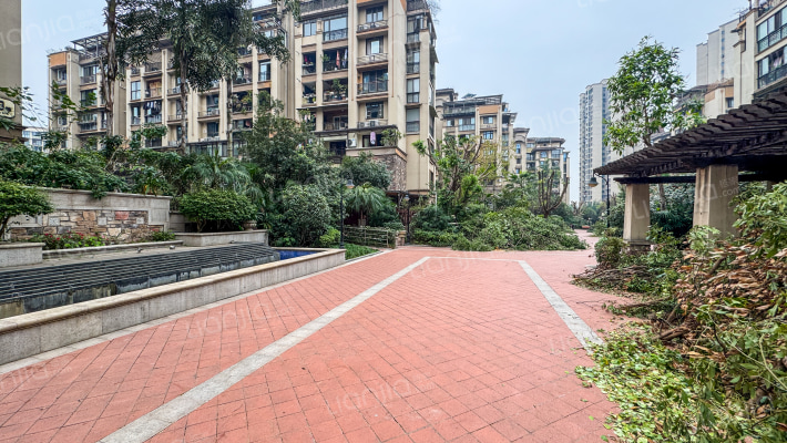 学府江山B区外景图