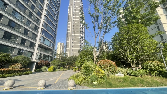 琴萃雅院外景图