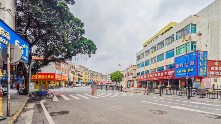 岐江公路外景图