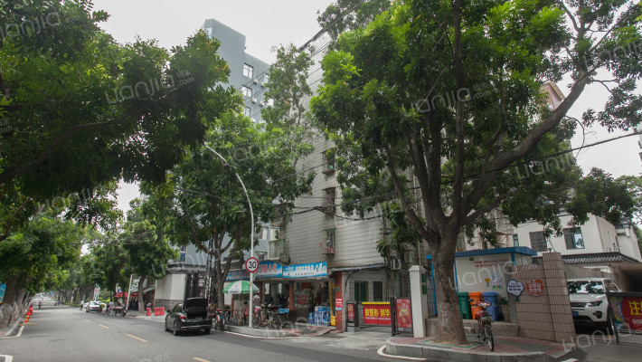 金都综合楼外景图