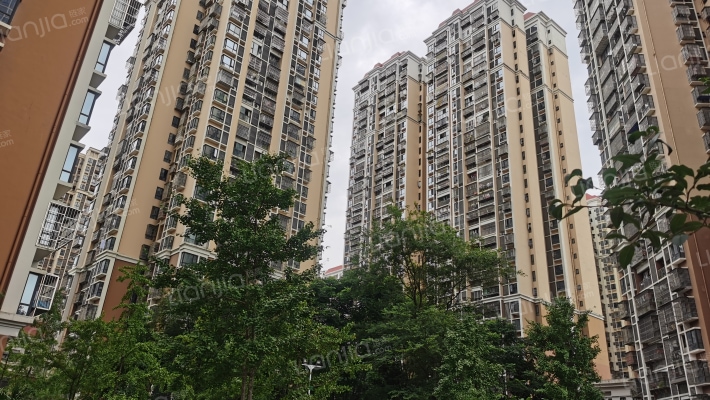 五星嘉园外景图