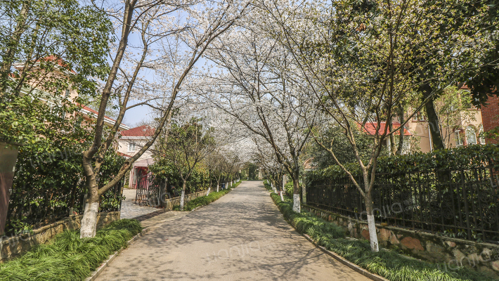 帝豪花园别墅外景图