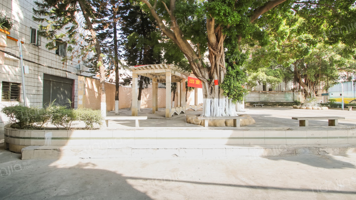 新基西街外景图