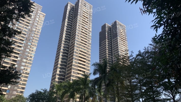 金沙半岛外景图