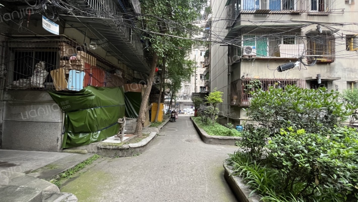 解放西街10号外景图