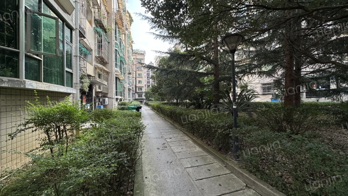 桂苑小区外景图