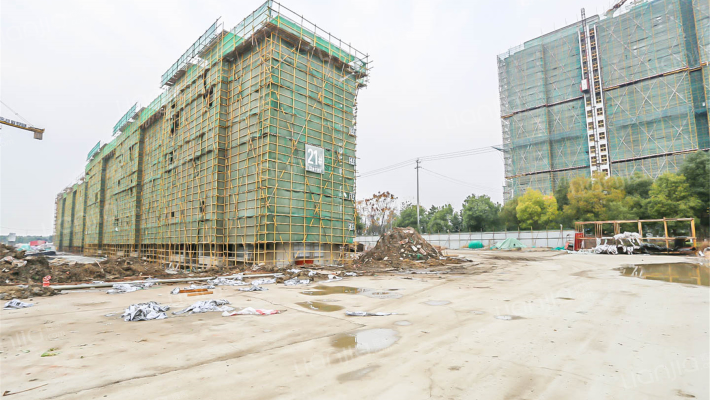 岸芷汀兰花园外景图