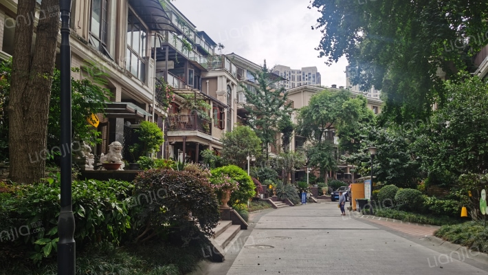 泰基花溪谷外景图