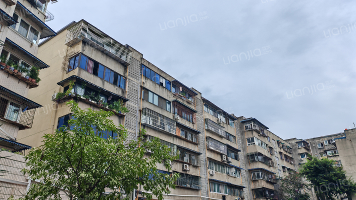 龙泉驿区中街37号外景图