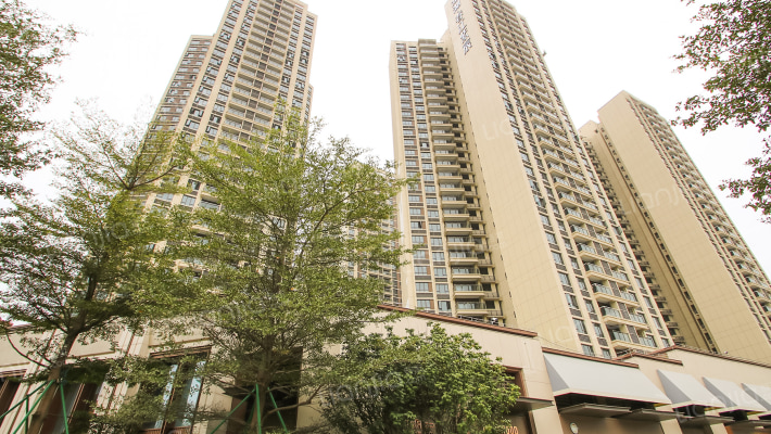 龙湖春江紫宸外景图