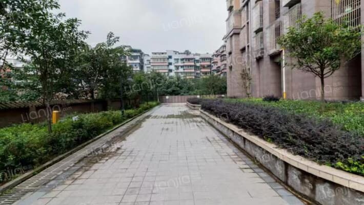 俊和新青年外景图