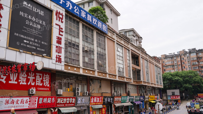 金领家族外景图