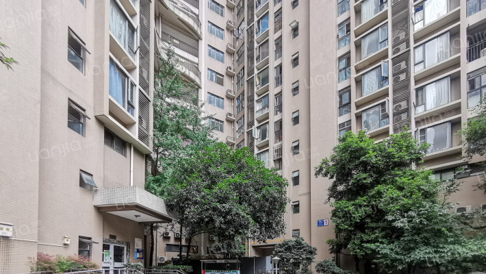 香木林加州国际外景图