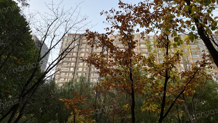 中信锦园外景图