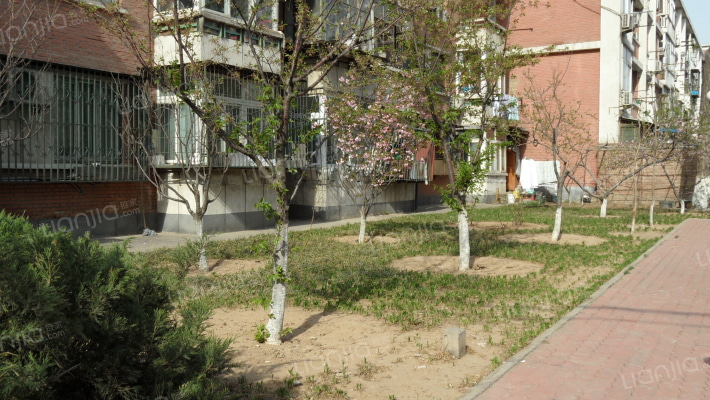 北京机械学院家属楼外景图