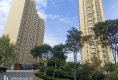 锦泰新村小区户型图实景图