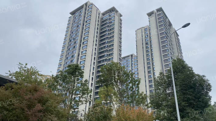 能建·紫郡公馆外景图